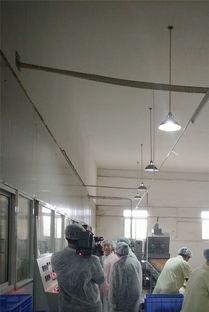 匠心质造，荣誉加冕——宜昌华尔食品公司获评市食品药品监督管理局“食品示范企业”