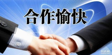 外贸公司与代账机构财务交接指南 从注册到出口退税的全流程管理