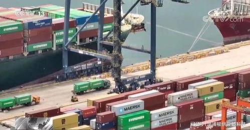 外贸订单保卫战 货代企业举步维艰，策划创意服务破局